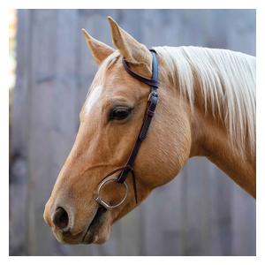 Velociti One Ear Horse Headstall Shires Equestrian